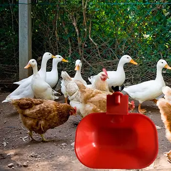 Automatické Kuracie Vody Pohár Hydiny Pitnej Misy Napájačiek Misa pre Vtákov