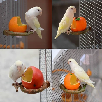 Vták Kŕmenie Misa Ovocia V Tvare Papagája Vody, Jedla, Kŕmenie Misku Zeleniny, Malých Zvierat Pitnej Pohár Kontajner Klietku Accessorie