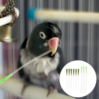 Papagáj Kŕmenie Hadice Vtákov Časti Feeder Hadice Medicíny Dodanie Pet Príslušenstvo Vody Nástroj