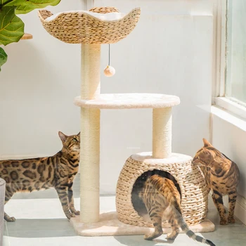 Jednoduchý Tkané Mačka Mačku Domu Preliezkami Pre Domácnosť, Domáce Zvieratá Sisalové Lano Post Mačka, Strom S Platformd Dizajn Cat Tower