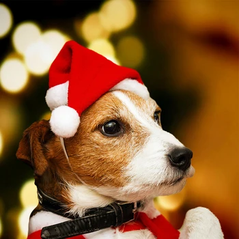 10PCS Vianočné Pet Santa Klobúky Pes, Mačka DIY Malé Šteňa Červené Vianoce, Santa Klobúky Cosplay Rekvizity Ozdoby, Vianočné Dekorácie